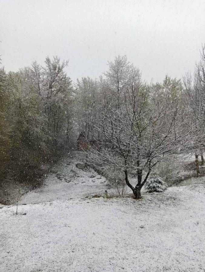 Вілла Plitvice Oaza Mira Смолянаць Екстер'єр фото